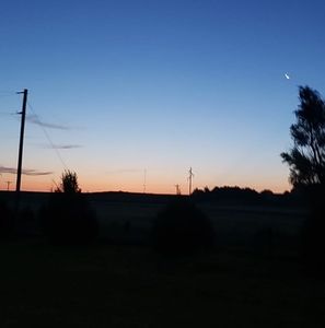 Meet your Posher, Jackson